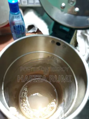 Electric Kettle