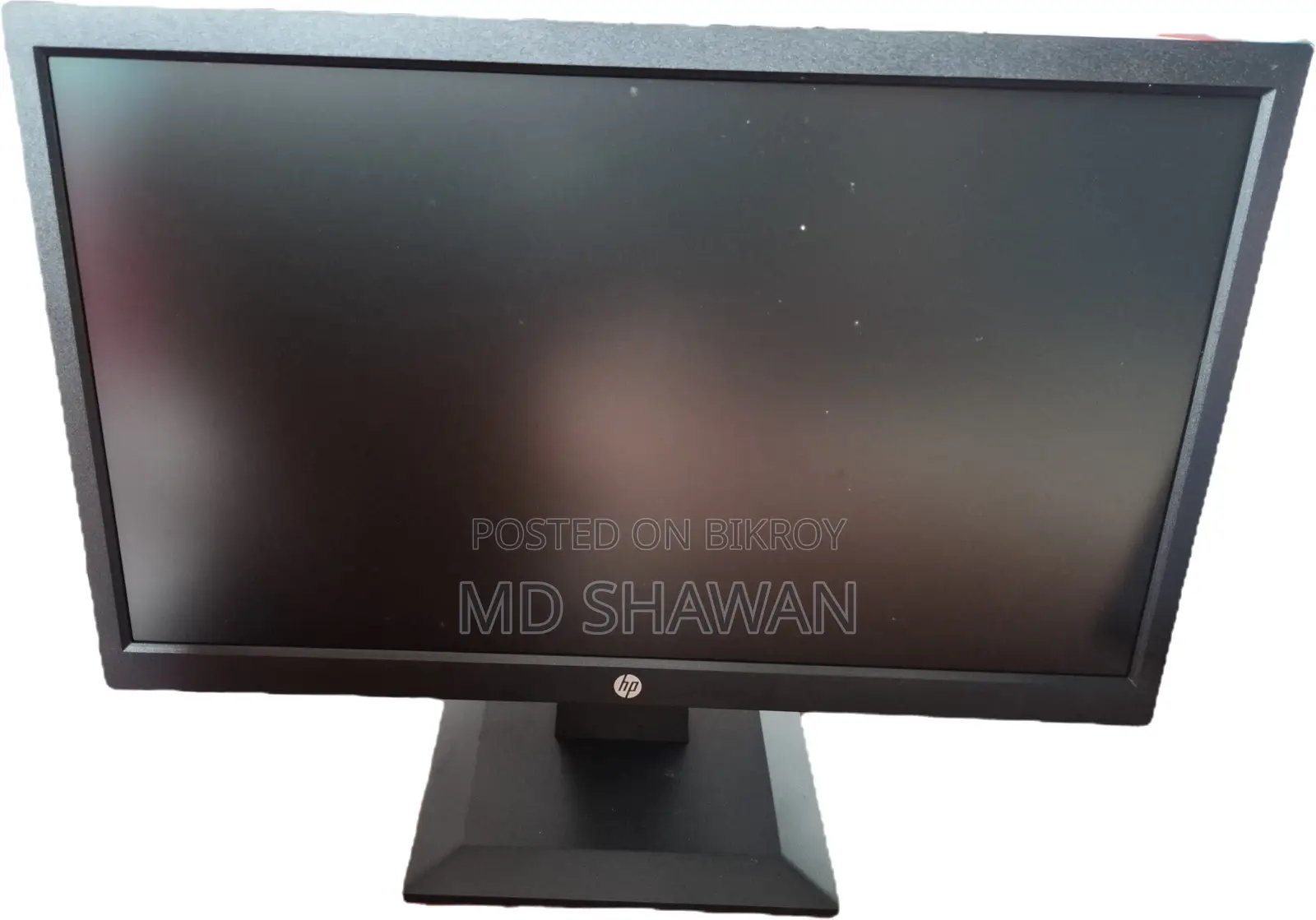 HP P204v 19.5-Inch Monitor