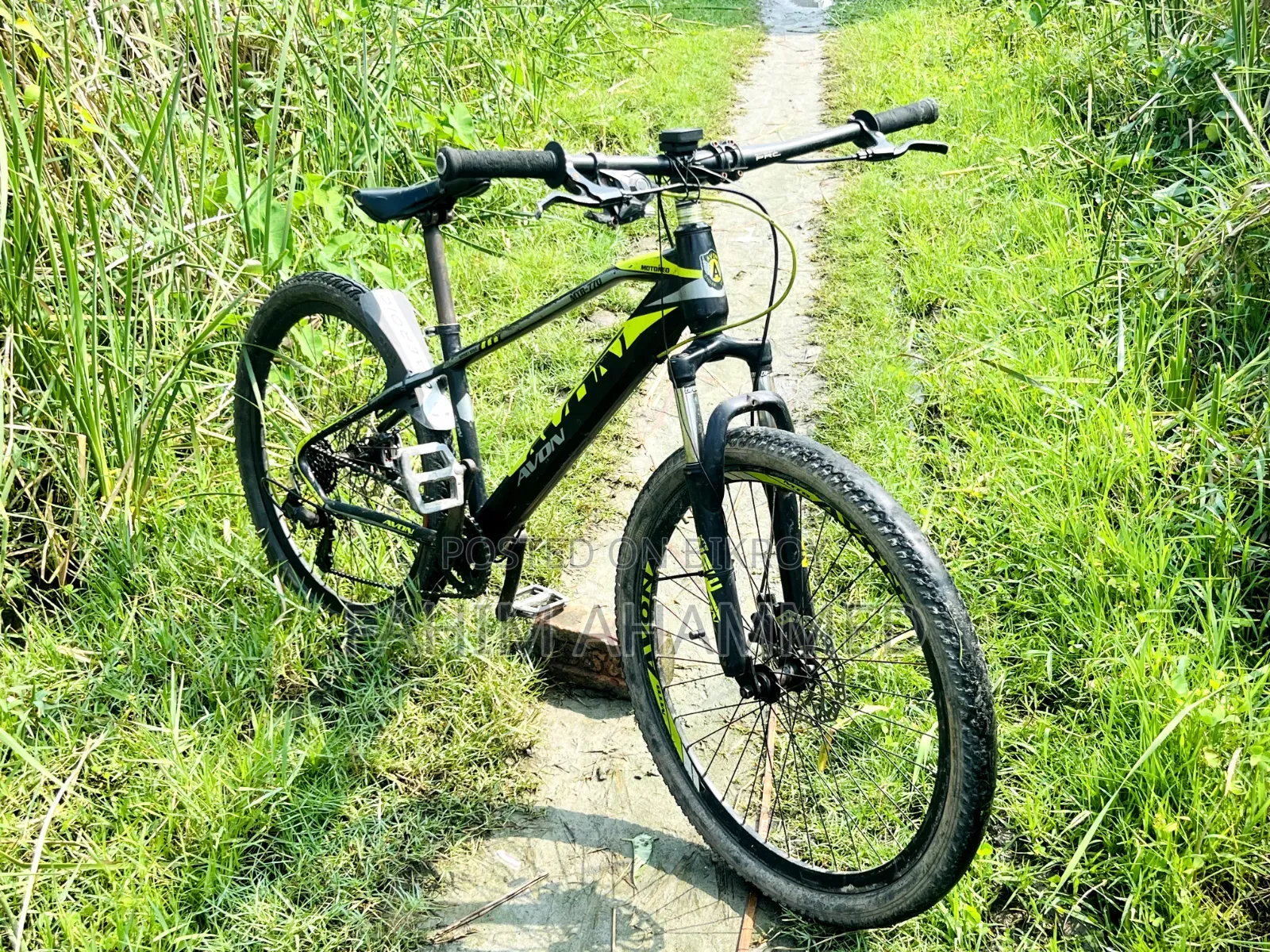 Avon Cycle