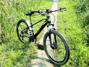 Avon Cycle