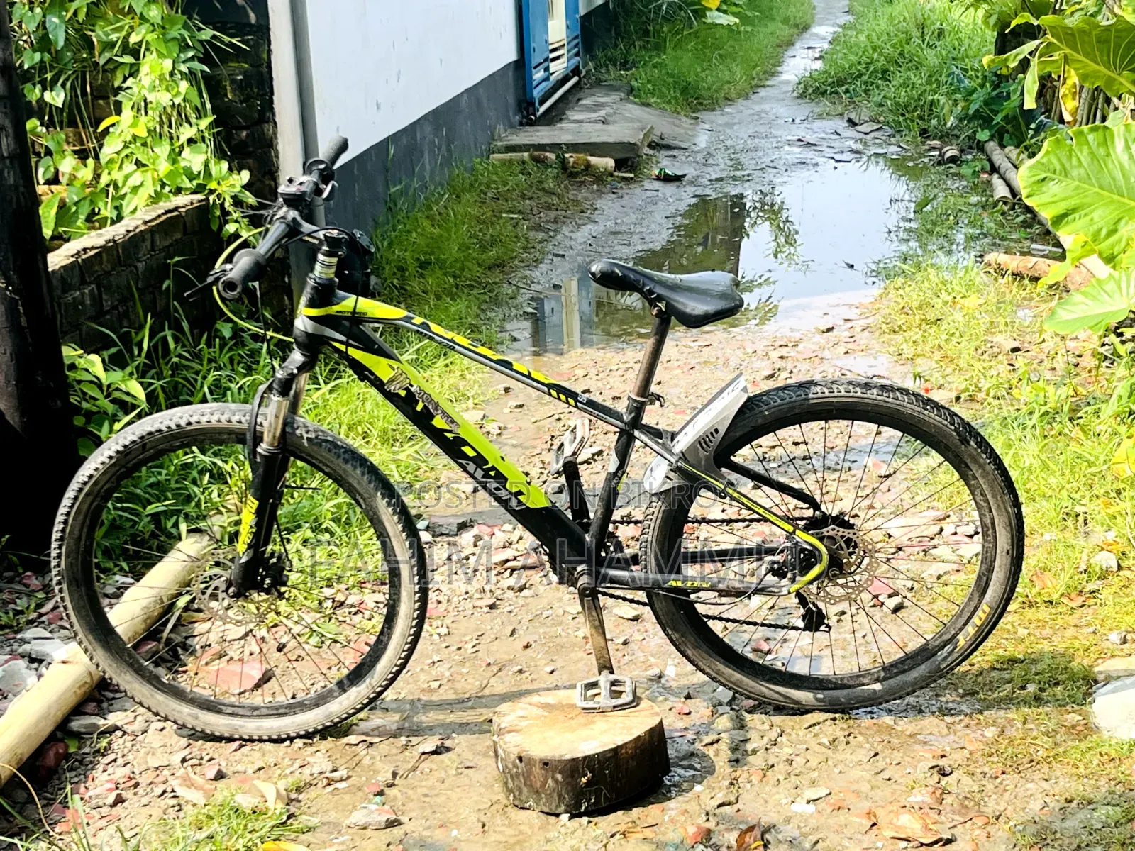 Avon Cycle
