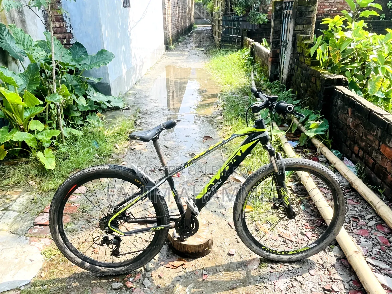 Avon Cycle