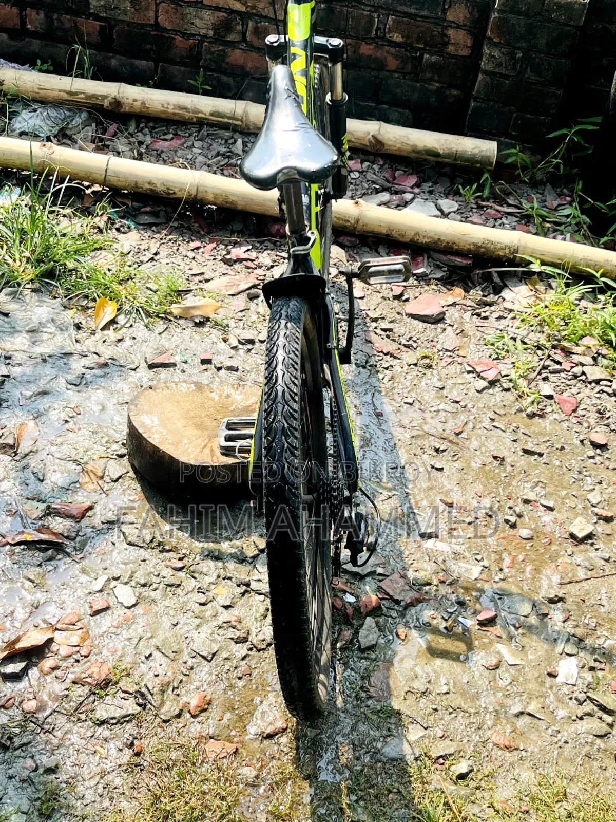 Avon Cycle