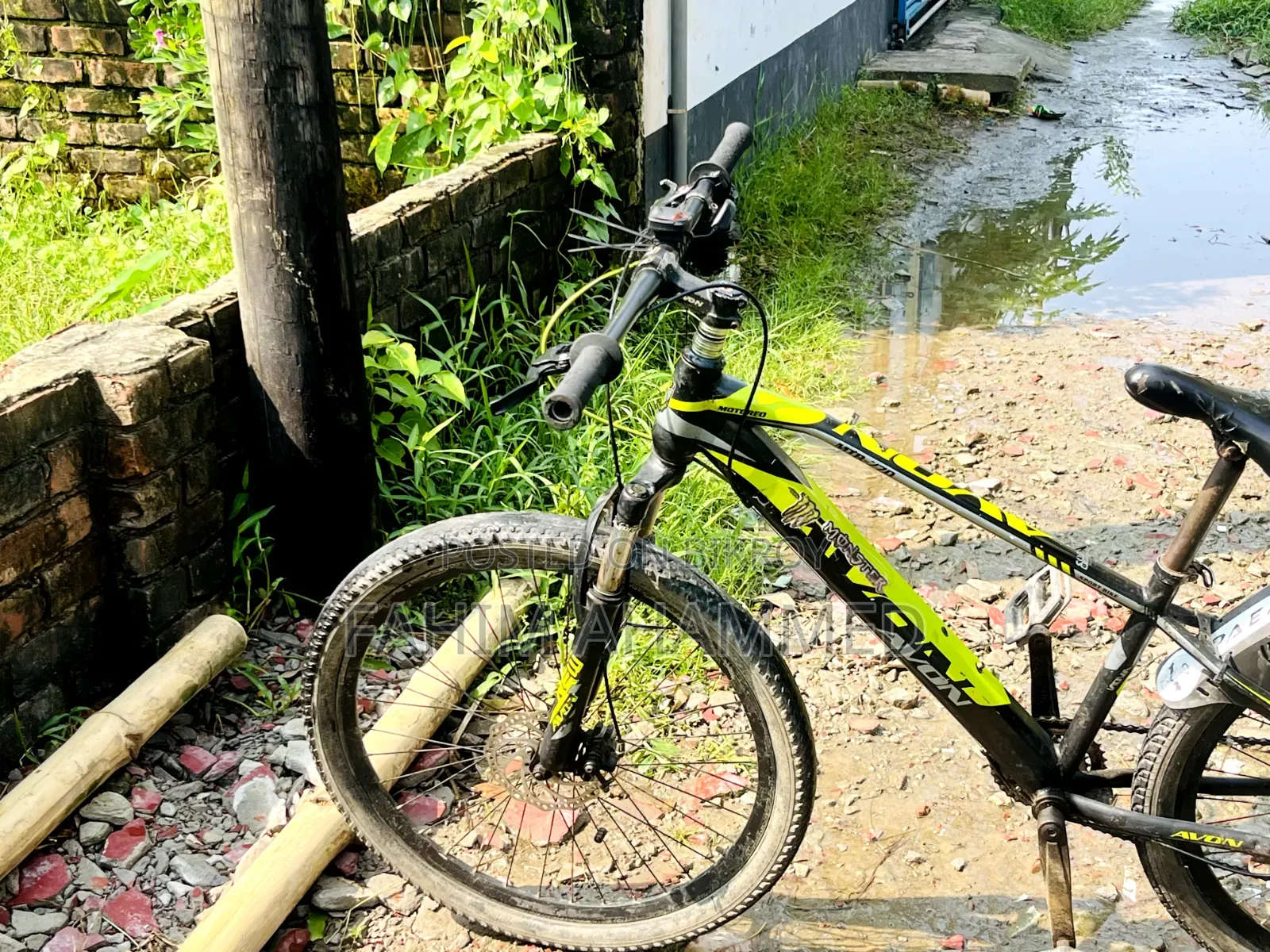 Avon Cycle