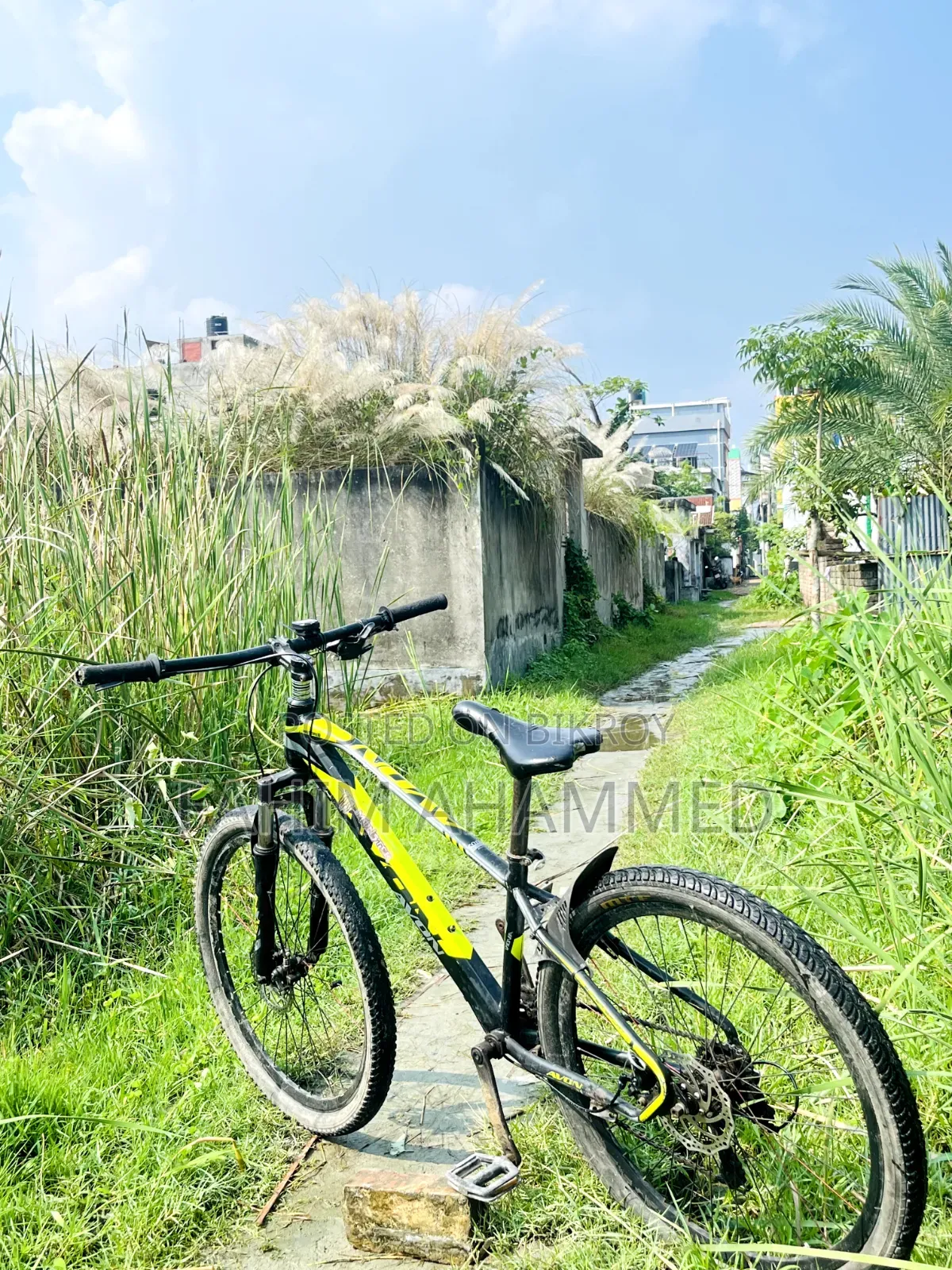 Avon Cycle