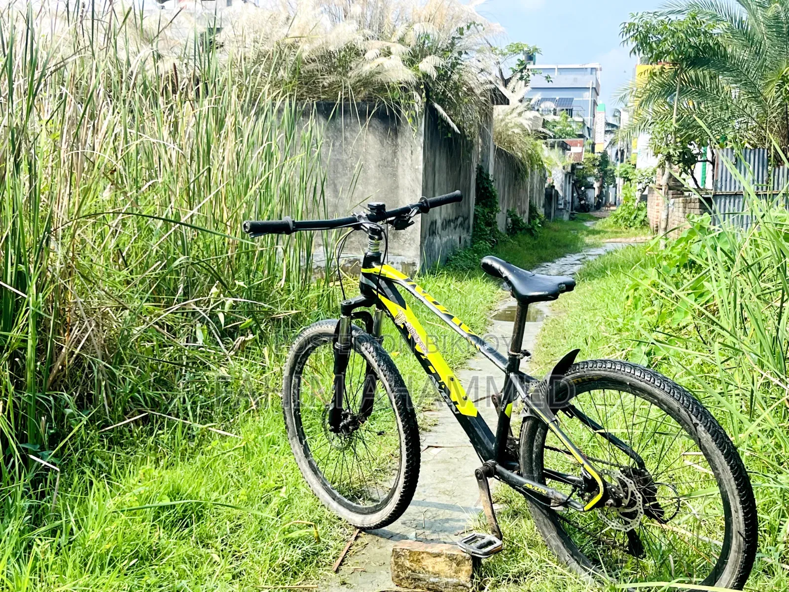 Avon Cycle