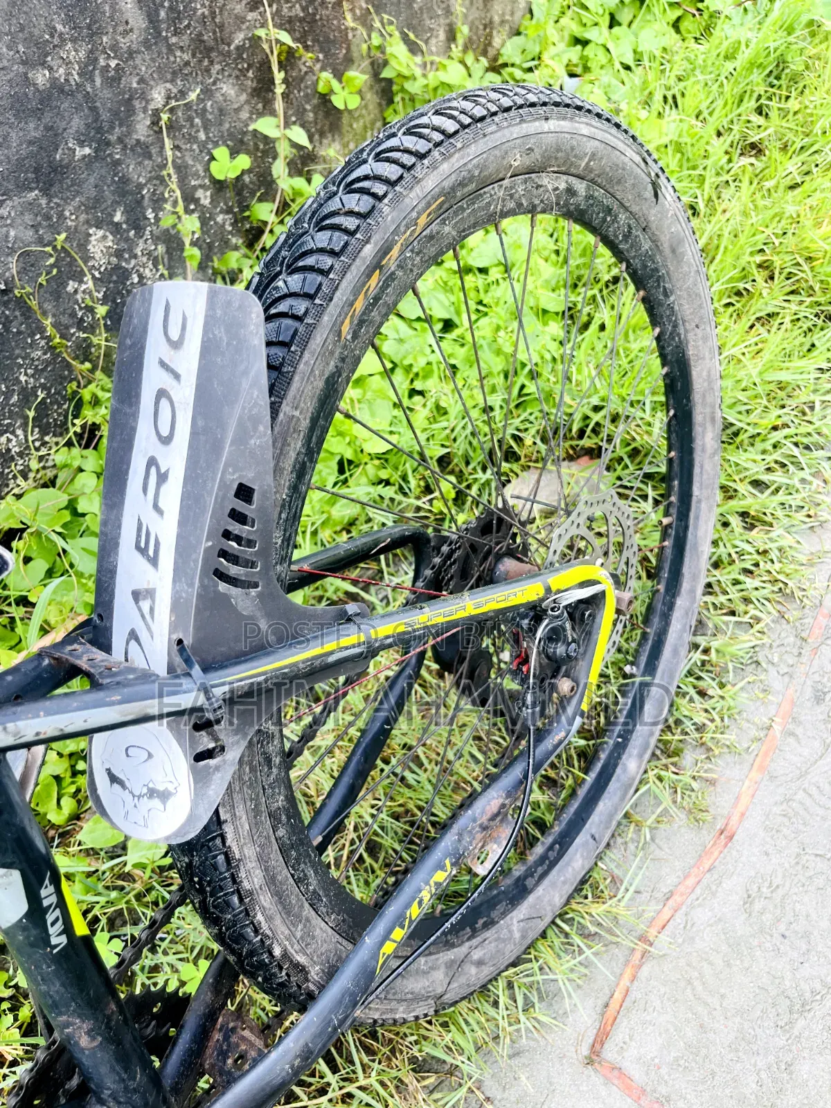 Avon Cycle