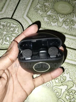 Wireless Microphone