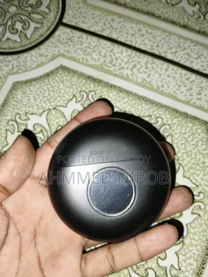 Wireless Microphone
