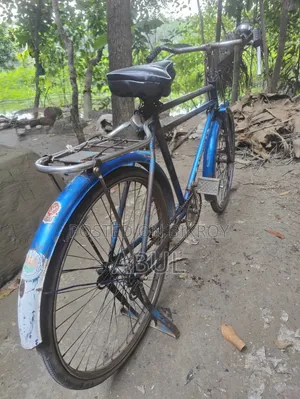 Phoenix Cycle 26 1/2