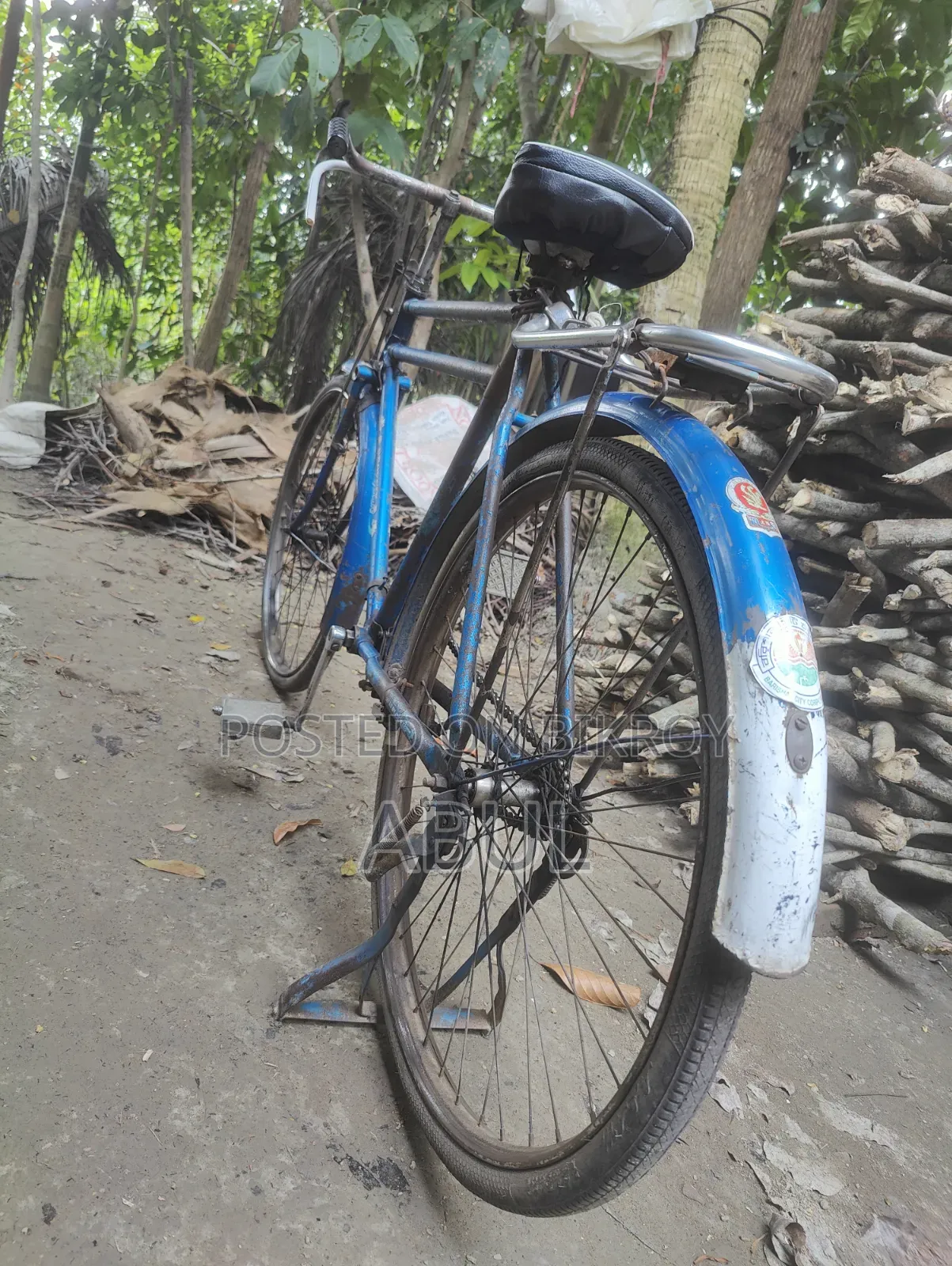 Phoenix Cycle 26 1/2
