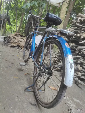 Phoenix Cycle 26 1/2
