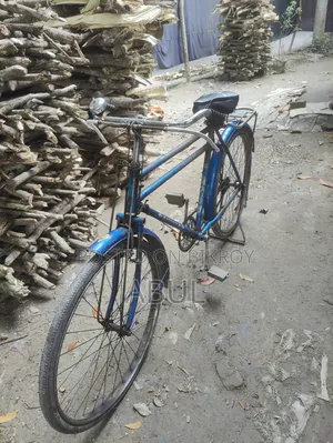 Phoenix Cycle 26 1/2