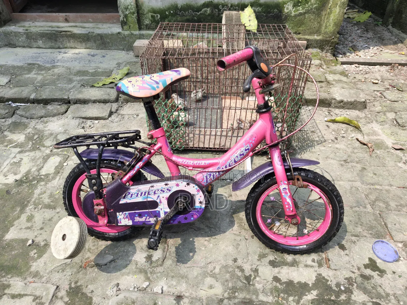 Kids Cycle