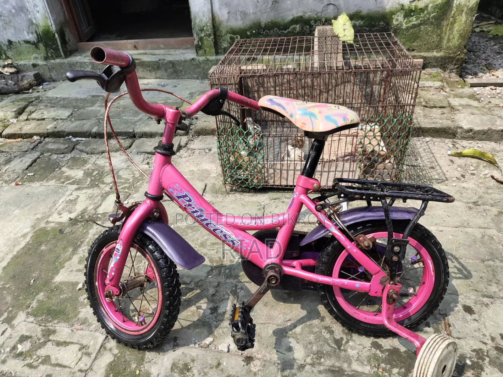 Kids Cycle