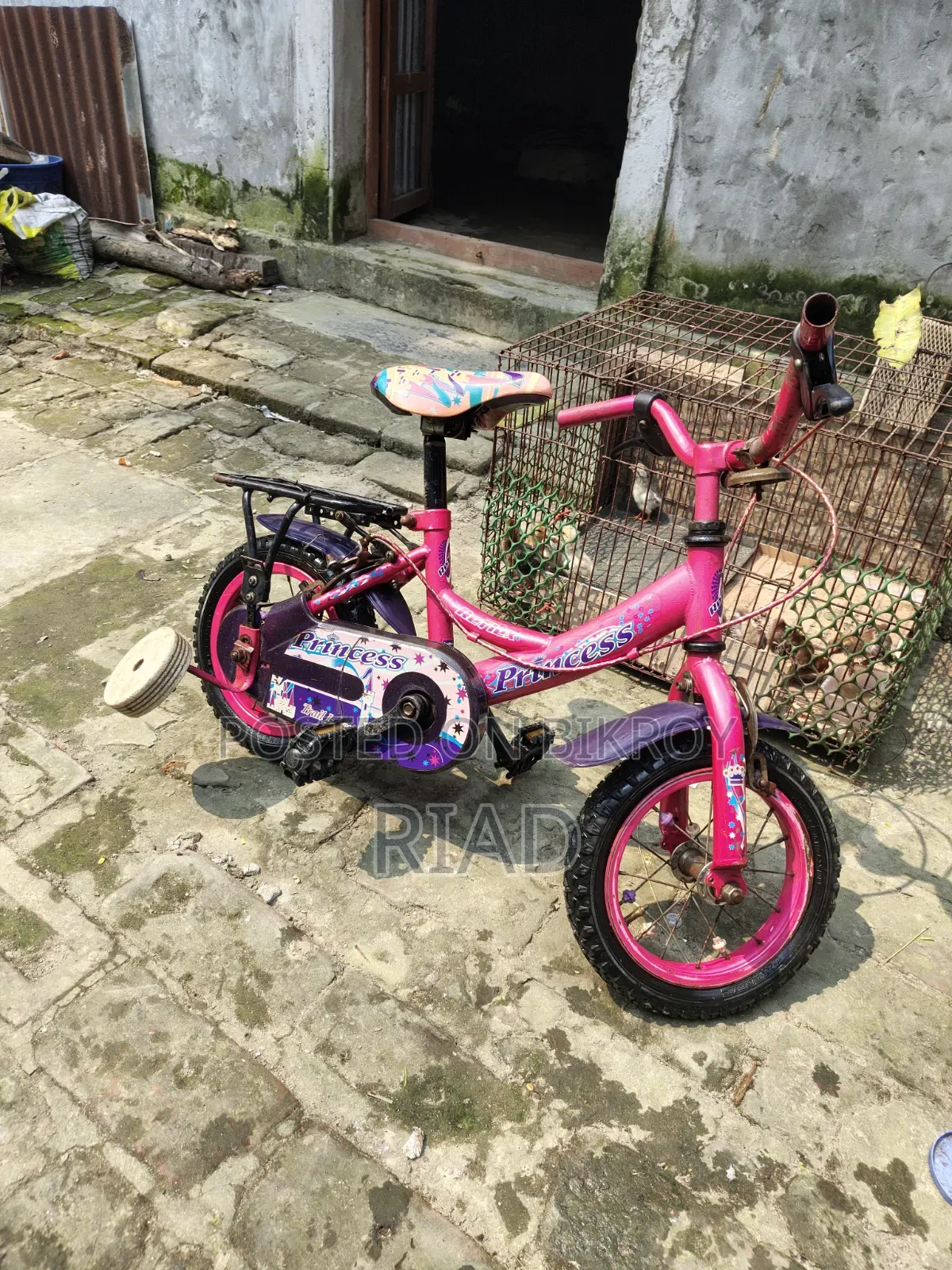 Kids Cycle
