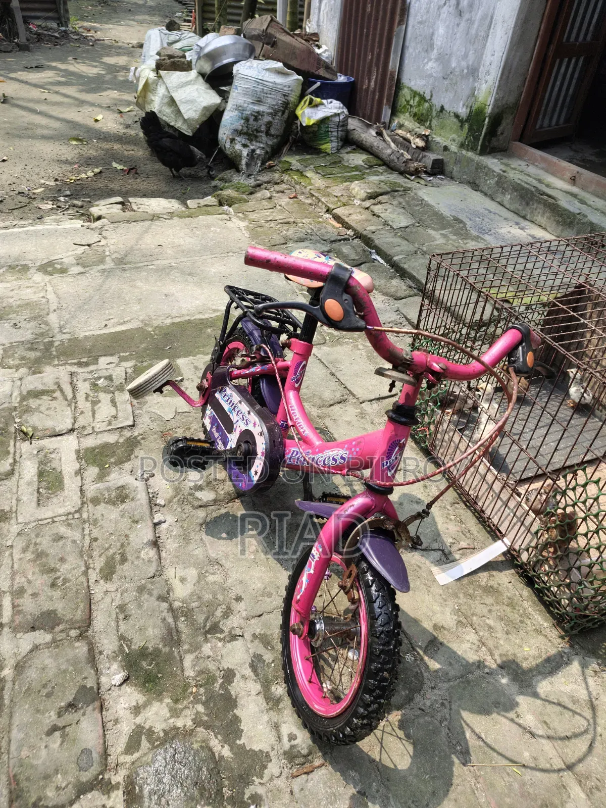 Kids Cycle