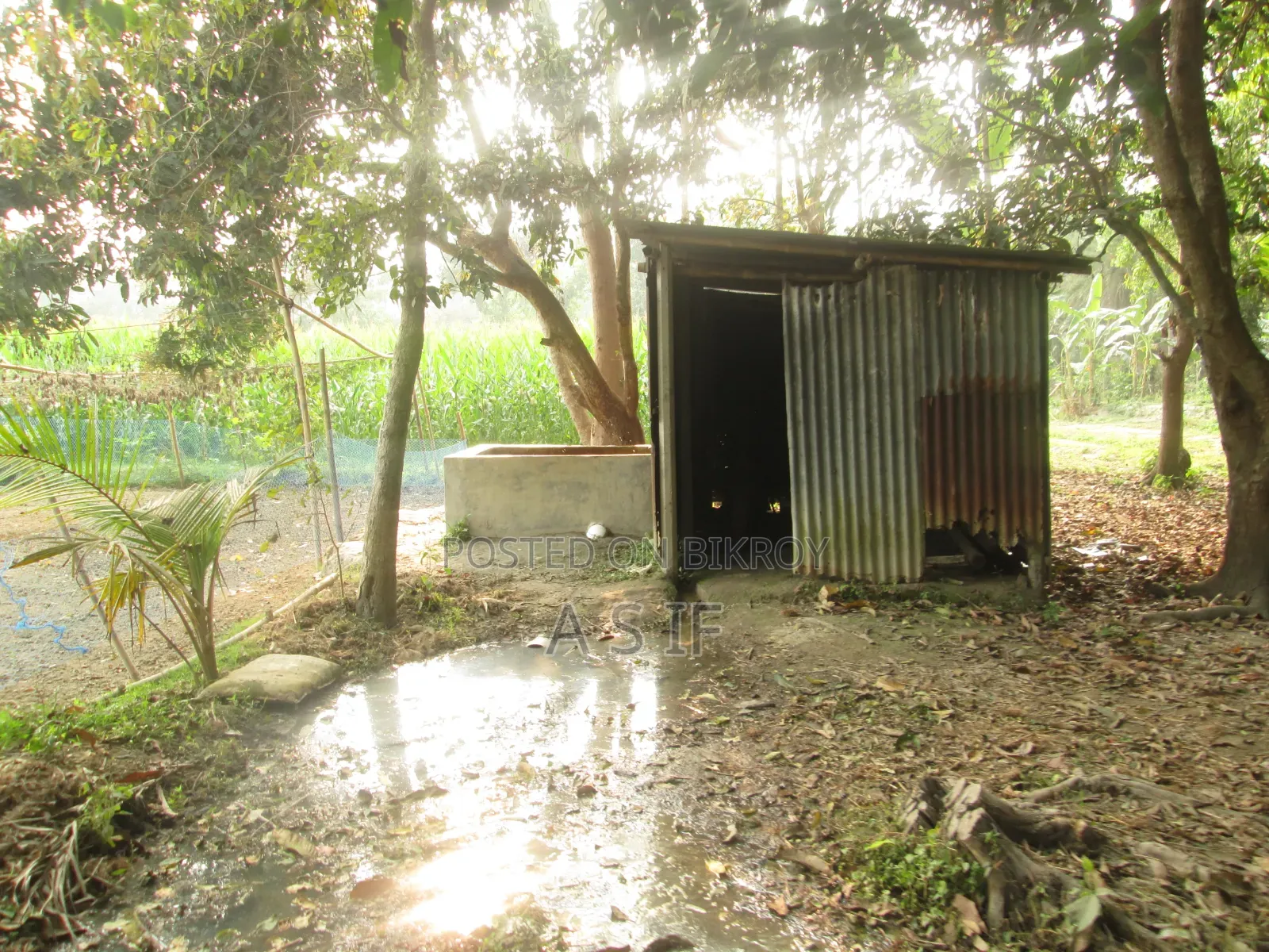 ক্যানন ডিজিটাল ক্যামেরা ফটোশুট এ২৬০০ এইচডি