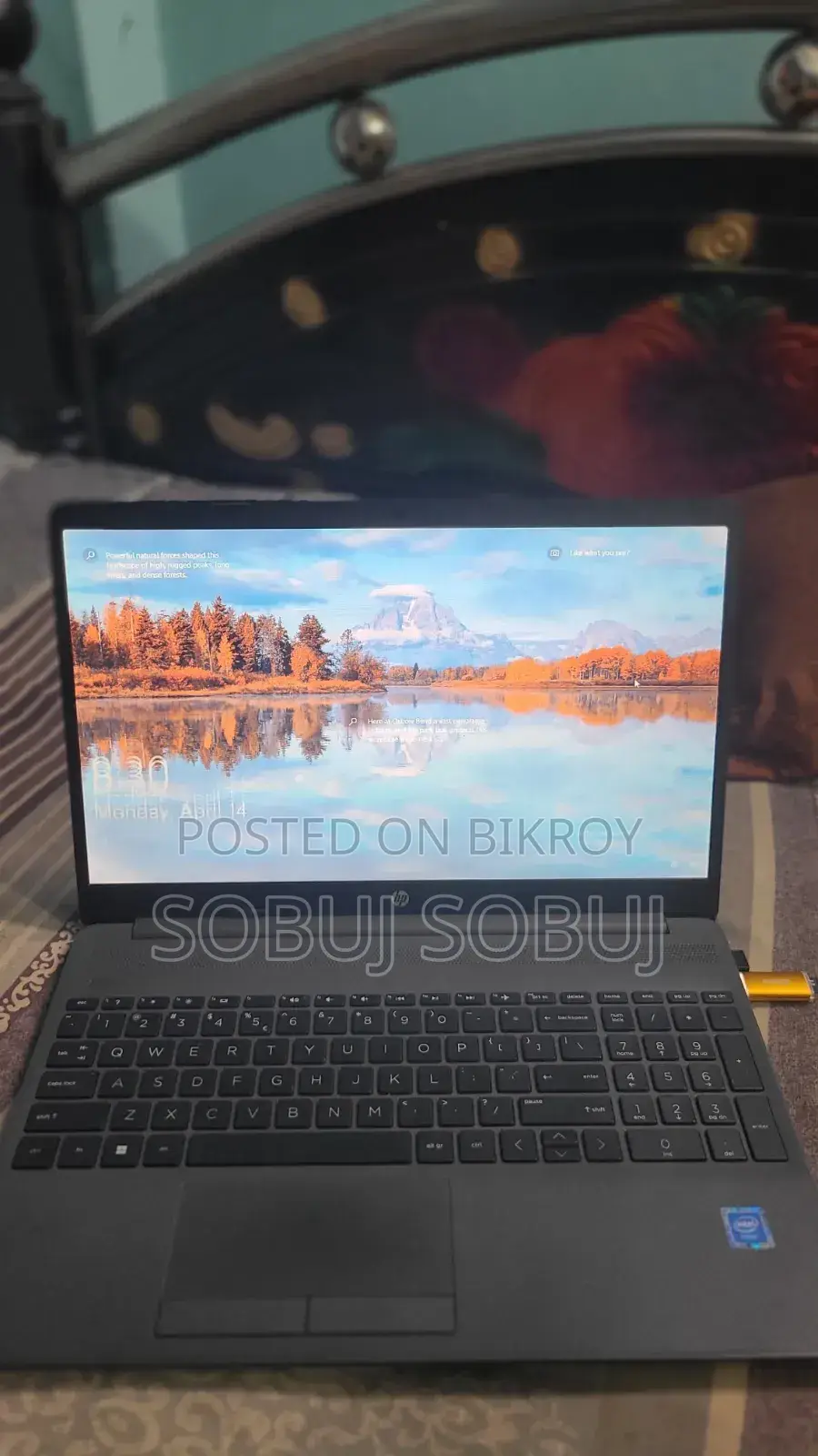 Laptop HP 250 G8 4GB Intel Celeron SSHD+SSD 500GB