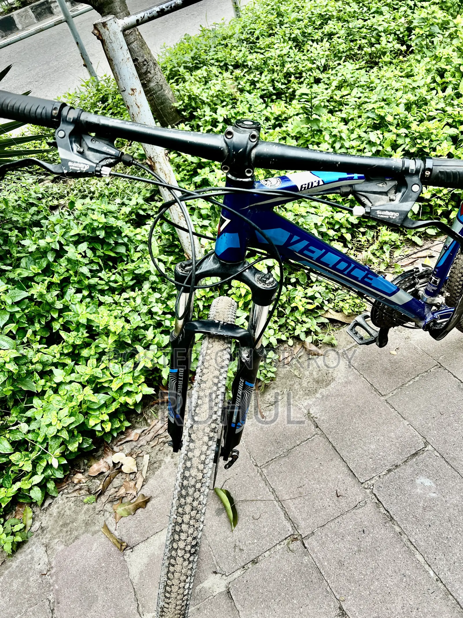 Cycle Veloce 603