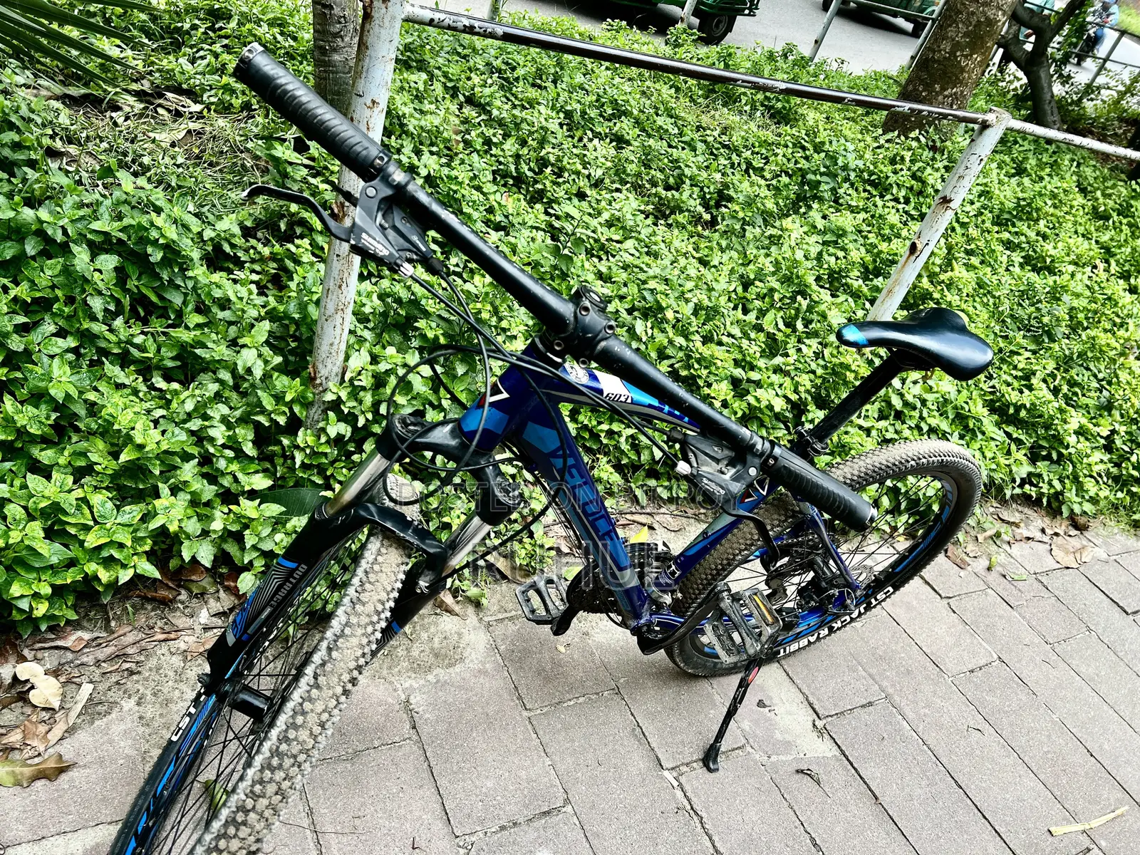 Cycle Veloce 603
