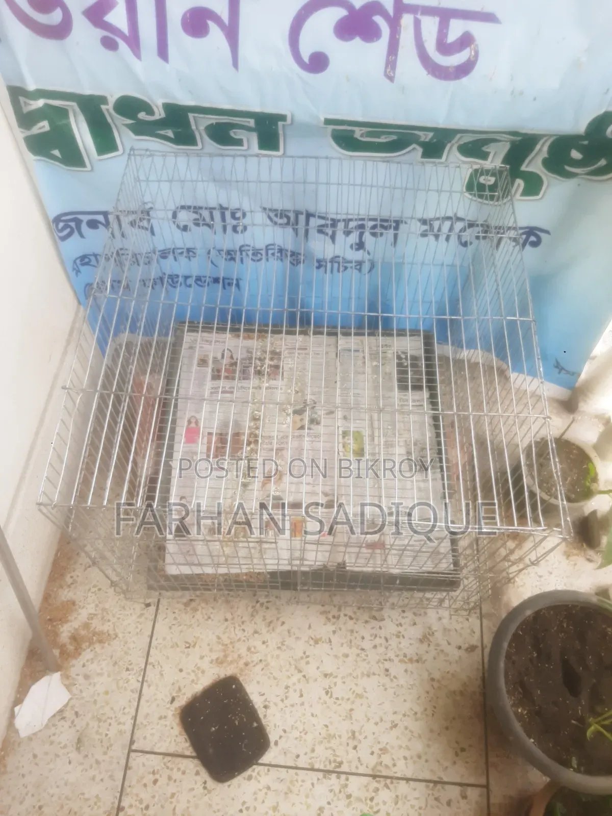 ২৪/২৪ কেইজ