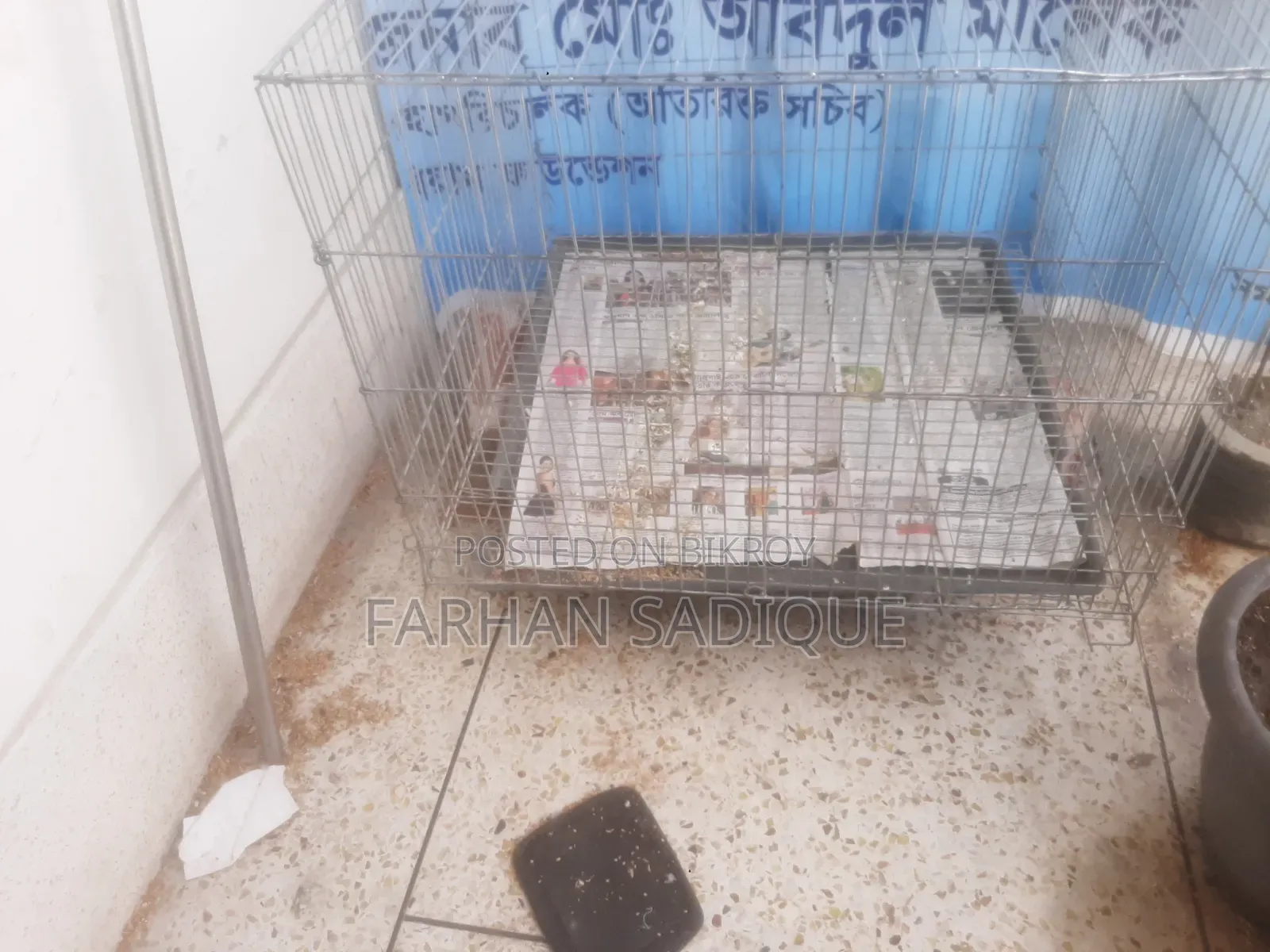 ২৪/২৪ কেইজ