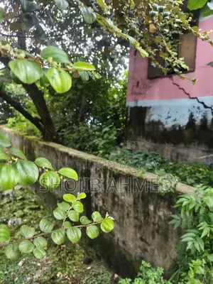 3 Katha land for lease