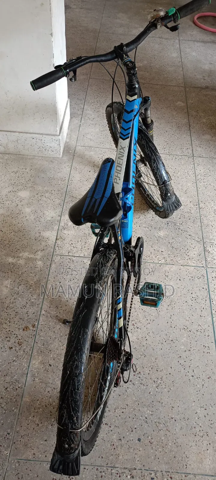 Old Bicycle for Sale