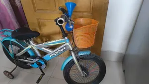 Phoenix Bicycle