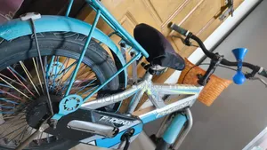 Phoenix Bicycle