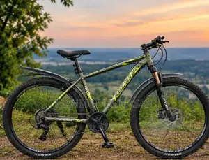 Phoenix Cycle