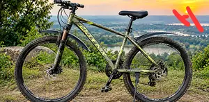 Phoenix Cycle (10 Gear)