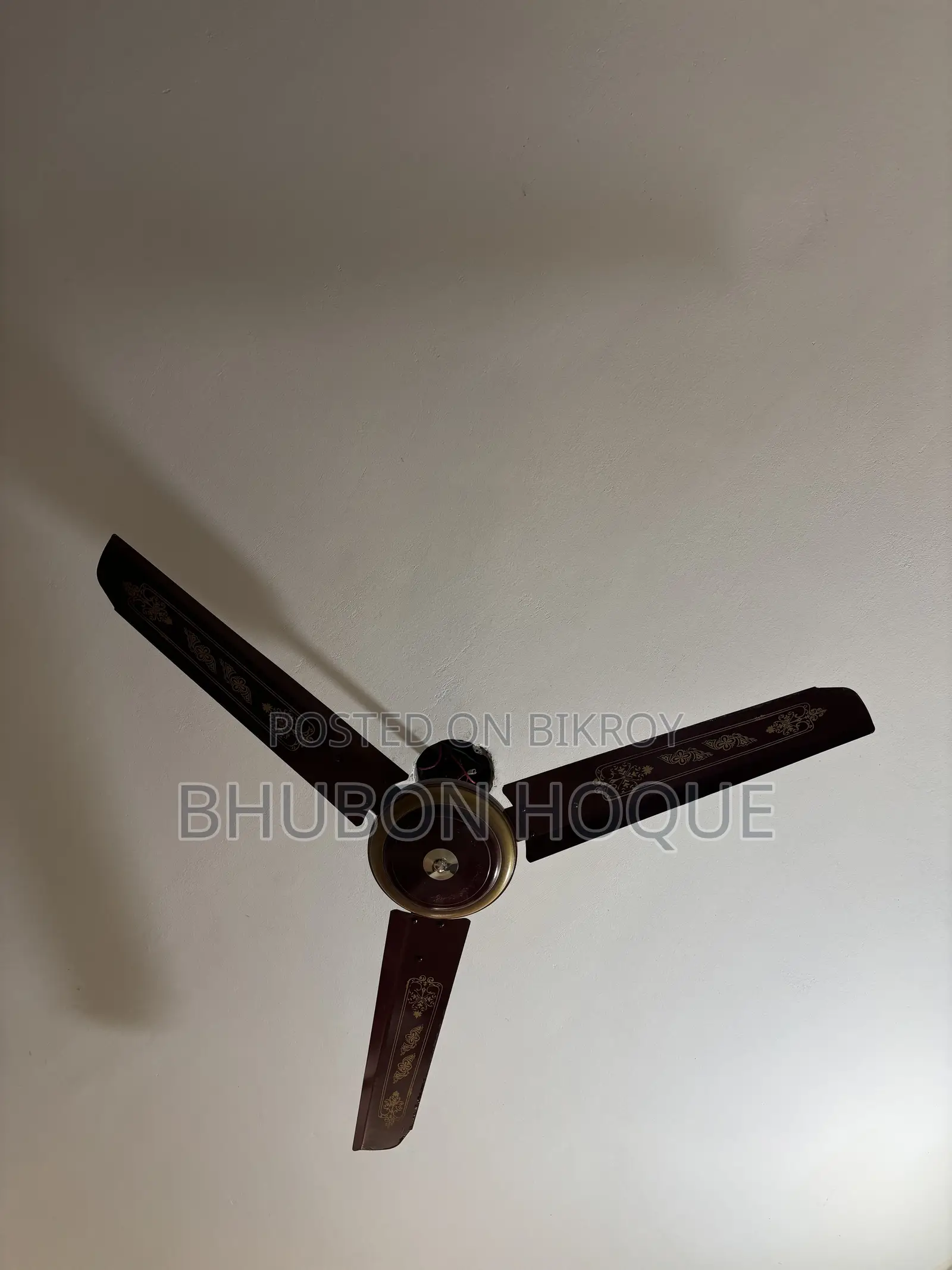 সাকুরা ফ্যান
