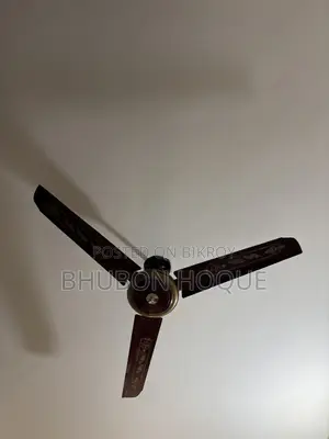 Sakura Fan