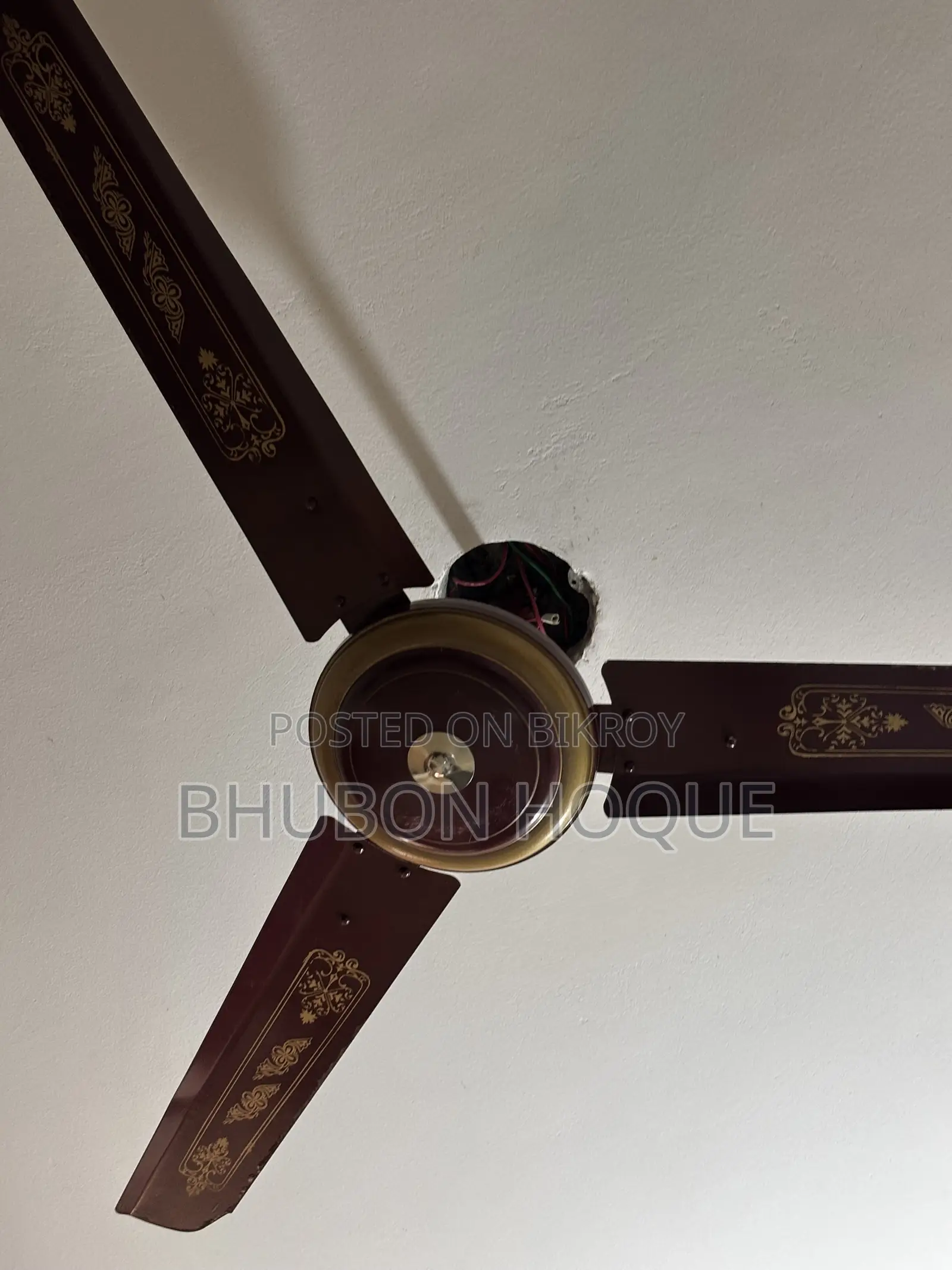 সাকুরা ফ্যান