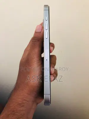 Apple iPhone 15 Pro Max 256 GB Silver