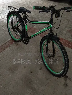 Phoenix Cycle for Sale