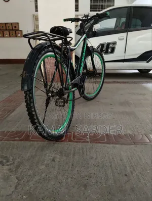 Phoenix Cycle for Sale