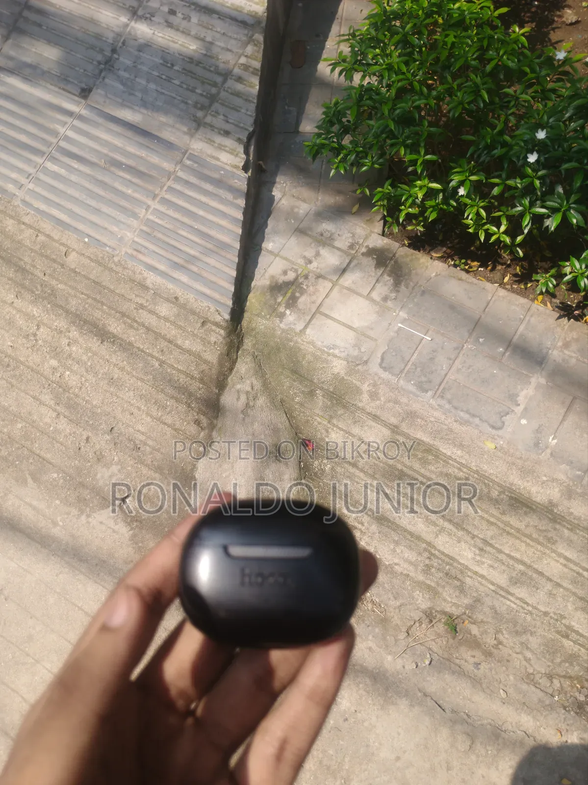 হোকো ইকিউ ২৪