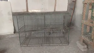 ৪ খোপের খাঁচা ট্রে সহ