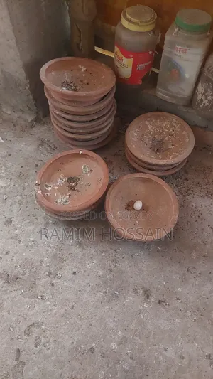 ৪ খোপের খাঁচা ট্রে সহ