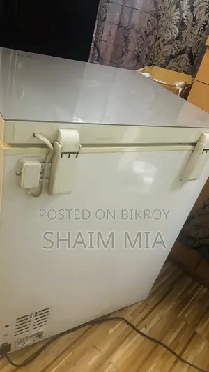 Singer Brand Deep Freezer for Sale - Absolutely Fresh Condition - Dhaka
