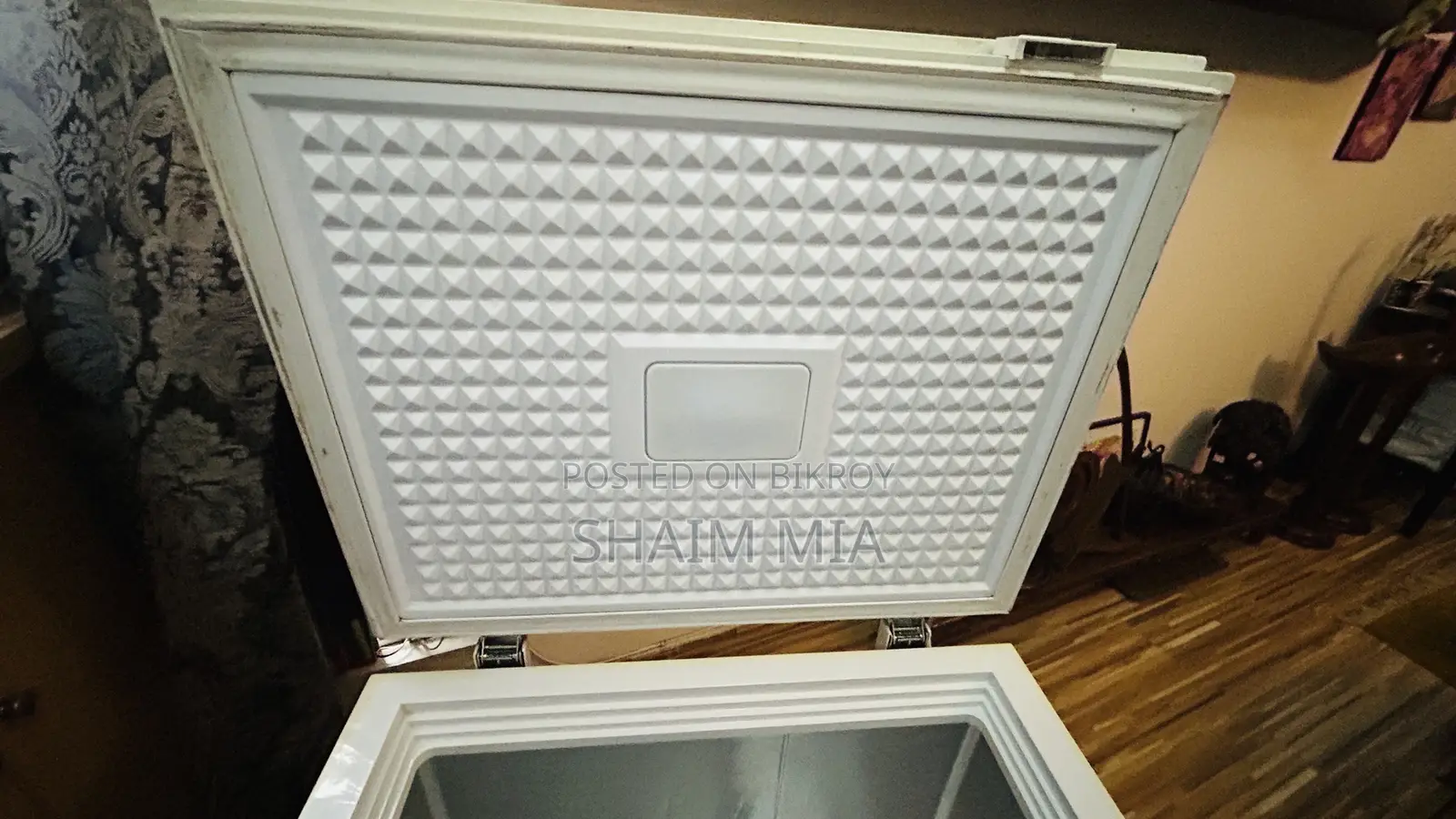 Singer Brand Deep Freezer for Sale - Absolutely Fresh Condition - Dhaka