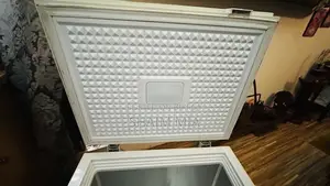 Singer Brand Deep Freezer for Sale - Absolutely Fresh Condition - Dhaka