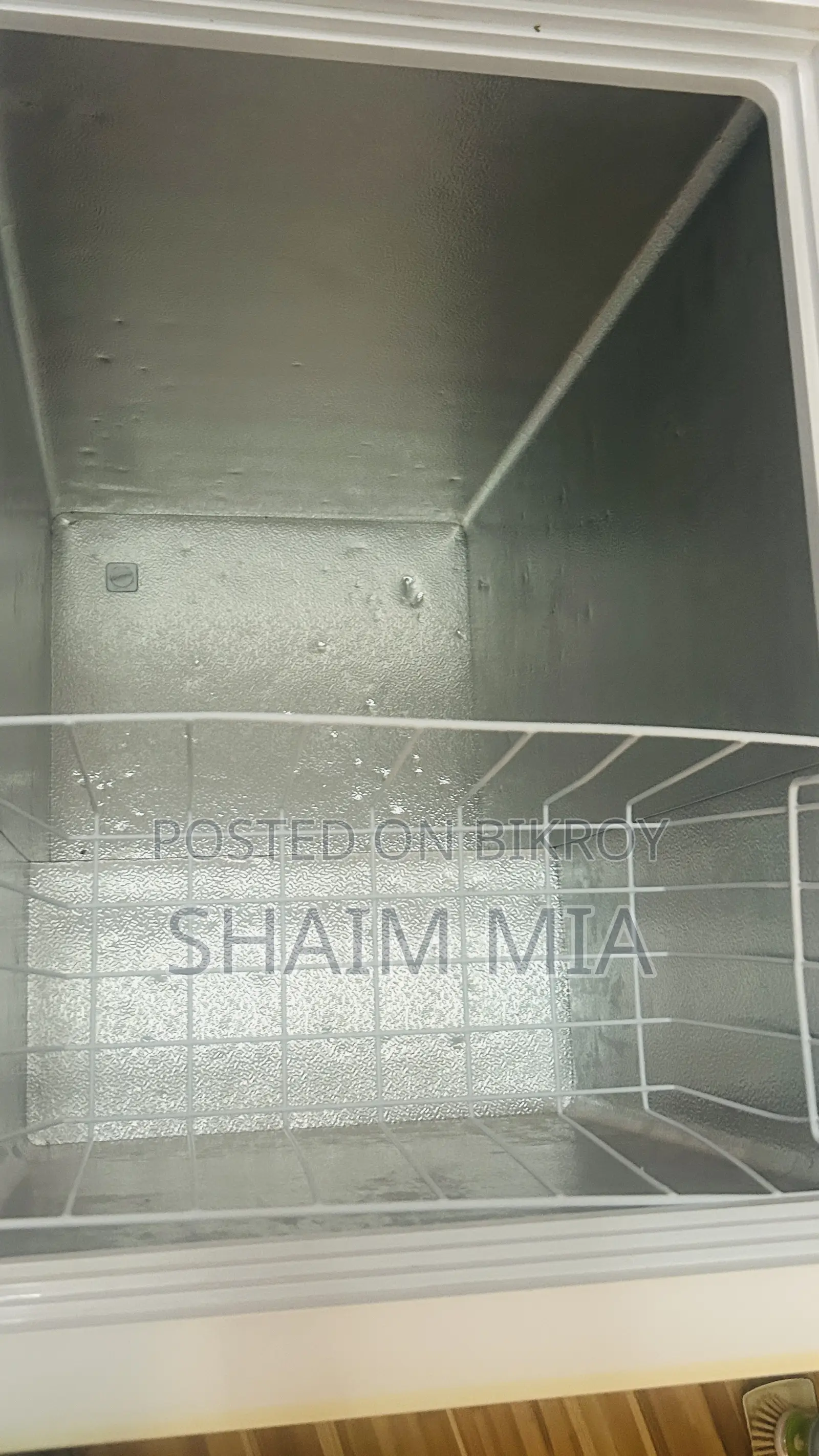 Singer Brand Deep Freezer for Sale - Absolutely Fresh Condition - Dhaka
