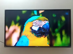 LG 43" Smart TV (With Box)