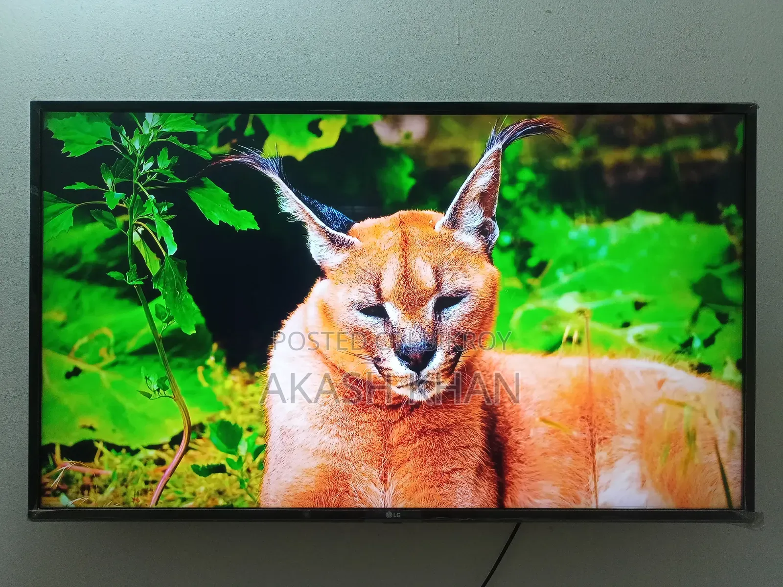 LG 43" Smart TV (With Box)