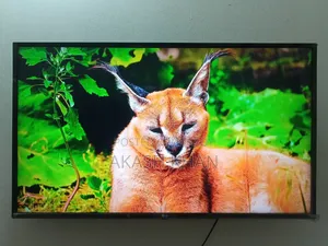 LG 43" Smart TV (With Box)