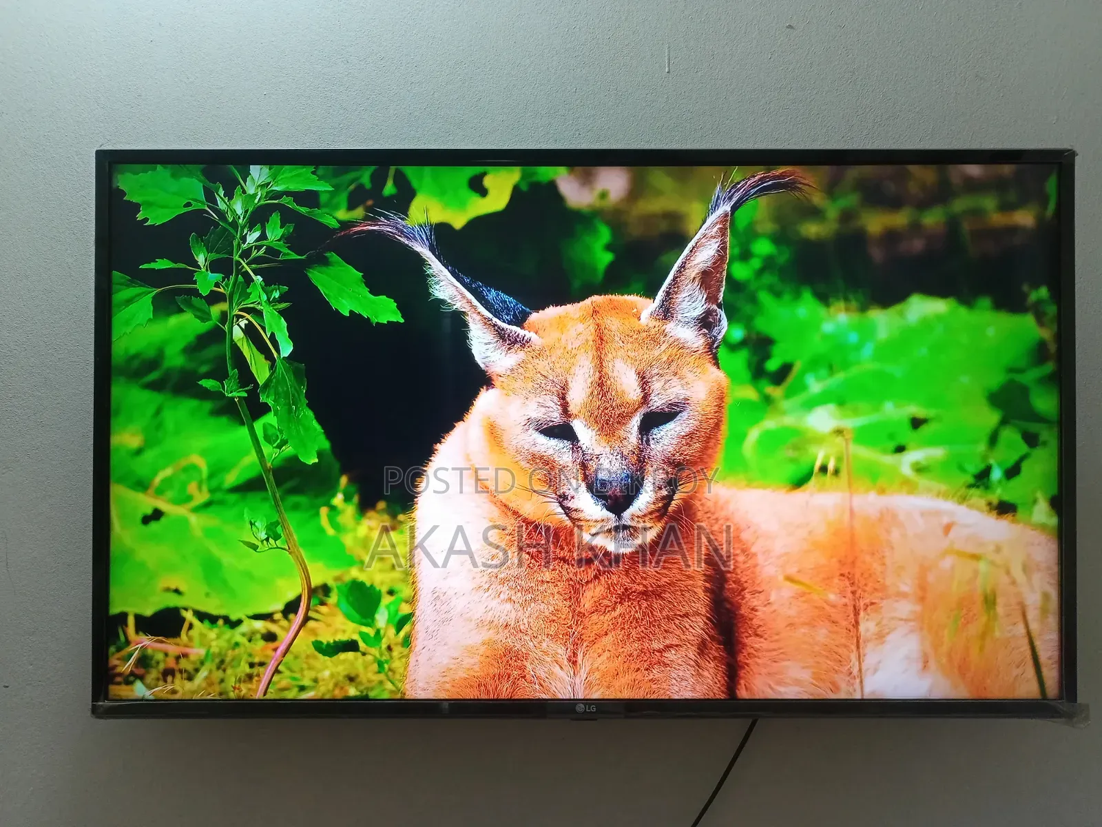 LG 43" Smart TV (With Box)